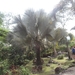 bali en lombok 700