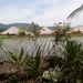 bali en lombok 749