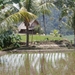 bali en lombok 751
