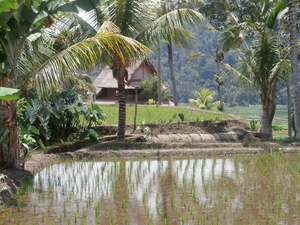 bali en lombok 751