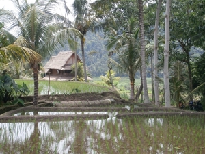 bali en lombok 753