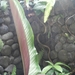 bali en lombok 755