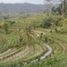 bali en lombok 756