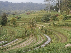 bali en lombok 756