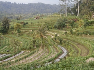 bali en lombok 756