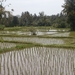 bali en lombok 760