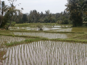 bali en lombok 760