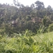 bali en lombok 789