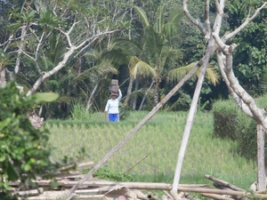 bali en lombok 794