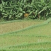 bali en lombok 798