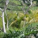 bali en lombok 802