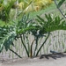 bali en lombok 803