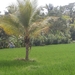 bali en lombok 812