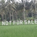 bali en lombok 822