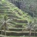bali en lombok 829