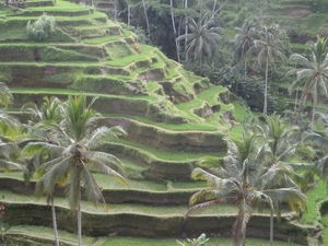 bali en lombok 829