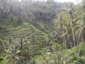 bali en lombok 830