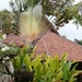 bali en lombok 871