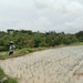 bali en lombok 927
