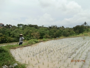 bali en lombok 927