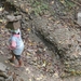 bali en lombok 966