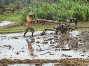 bali en lombok 967