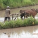 bali en lombok 983