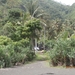 bali en lombok 988