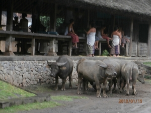 bali en lombok 992