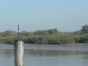 20110928 Fietsen langs de Schelde  552