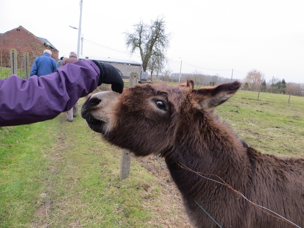 2013-03- 02 Roosdaal (verkenning 2) 007