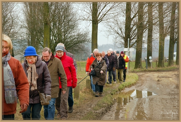 sized_sized_DSC51275a kbc senioren gaasbeek-wandeling
