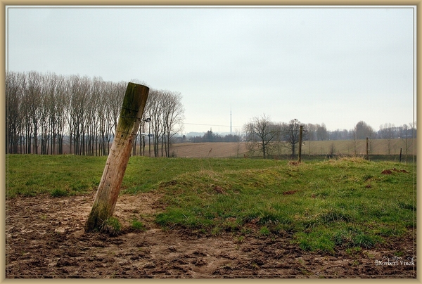 sized_sized_DSC51277a kbc senioren gaasbeek-wandeling