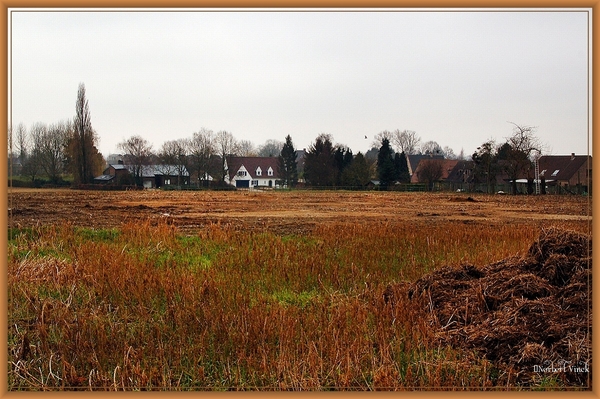 sized_sized_DSC51282a kbc senioren gaasbeek-wandeling