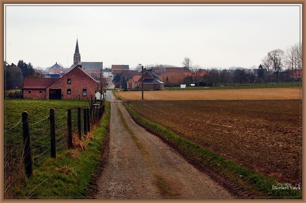 sized_sized_DSC51283a kbc senioren gaasbeek-wandeling
