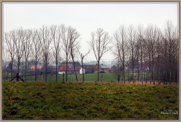 sized_sized_DSC51284a kbc senioren gaasbeek-wandeling