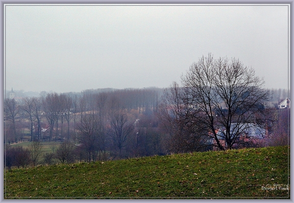 sized_sized_DSC51302a kbc senioren gaasbeek-wandeling