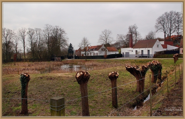 sized_sized_DSC51303a kbc senioren gaasbeek-wandeling