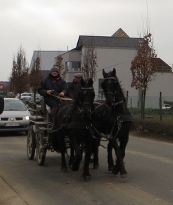 2013-03- 02 Zonnegem 013