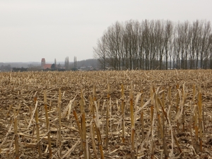 2013-03- 02 Zonnegem 017