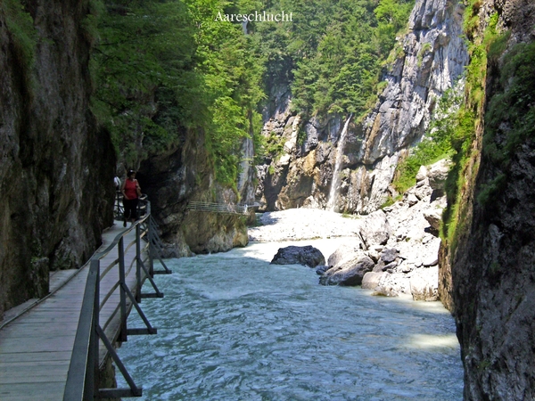Aareschlucht.