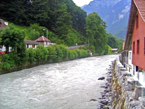 Die Weisse Ltchine Wilderswil