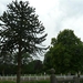 20110821 Het Kasteel van Bornem 112