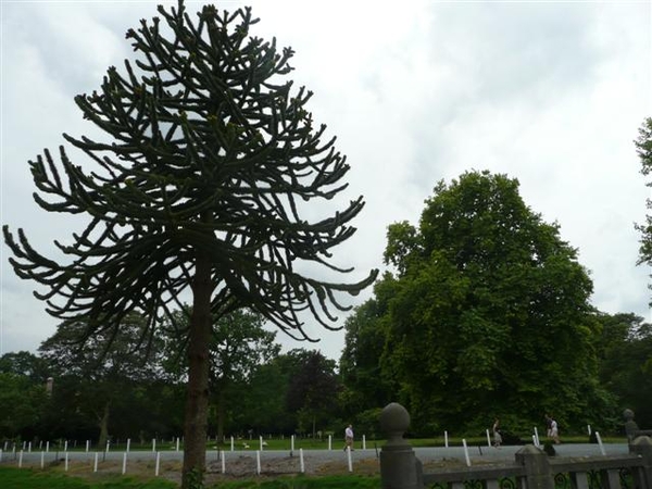 20110821 Het Kasteel van Bornem 112