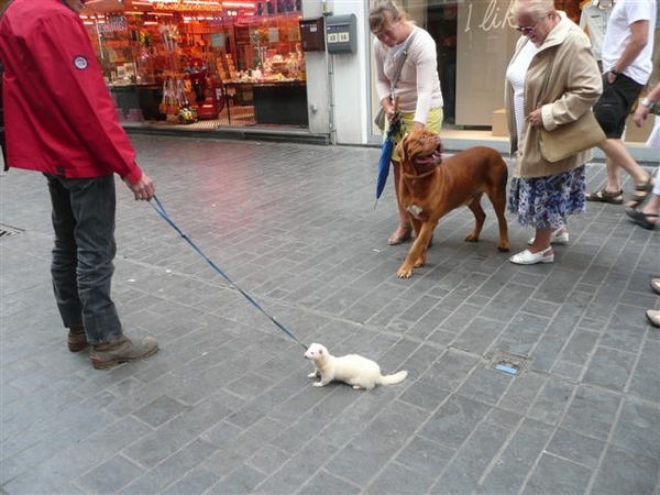 20110806 Oostende 042