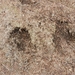 DSCN2440