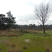 DSCN2451