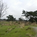 DSCN2454