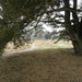 DSCN2455