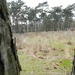 DSCN2456